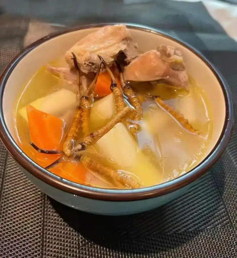 Cordyceps And Snow Pear Soup: Recipe, Benefits & Precautions 2 Cordyceps And Snow Pear Soup Cordyceps And Snow Pear Soup: Recipe, Benefits & Precautions