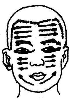 Facial Gua Sha Therapy