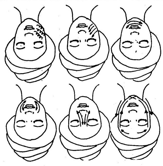 Facial Self-Care Techniques