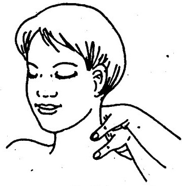 Manipulate the neck muscles