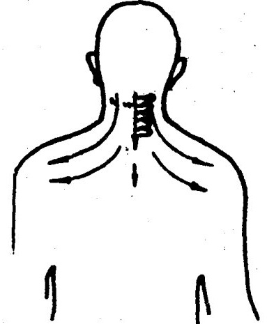 Neck Gua Sha Therapy