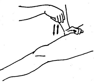 Pounding technique (Chuidafa)