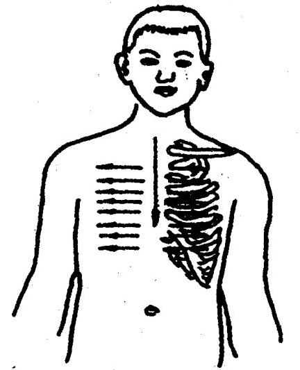 Thoracic Gua Sha Therapy