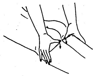 hip fat