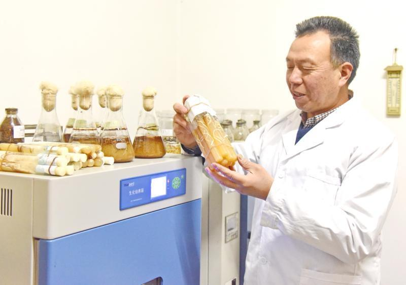 Fungal Capital of China