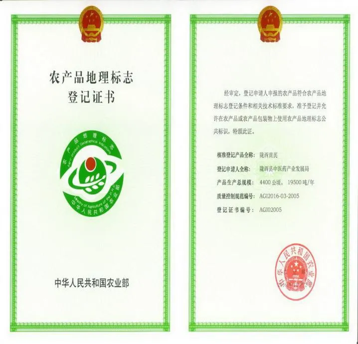 Longxi Astragalus Authorized Geographical Indication Herb Base