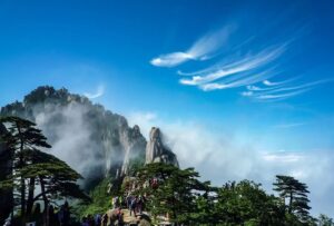 Chinese Body Clock What to do at Each Hour
